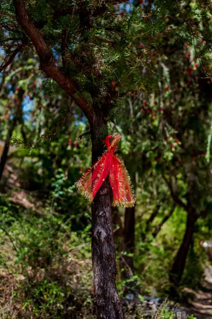 A red cloth tied to a tree in a temple.