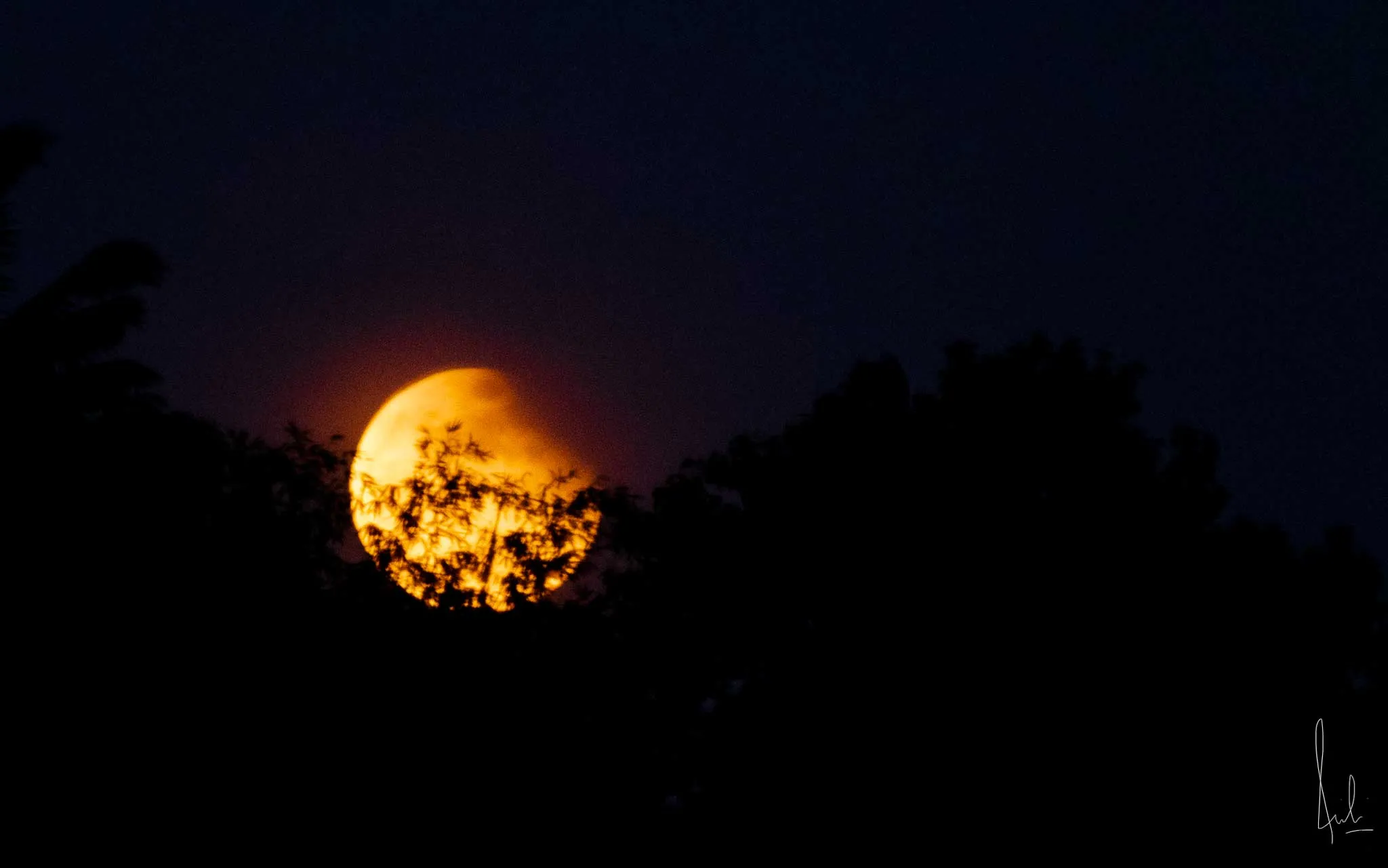 A photo of moon rising during the last lunar eclipse of 2022.