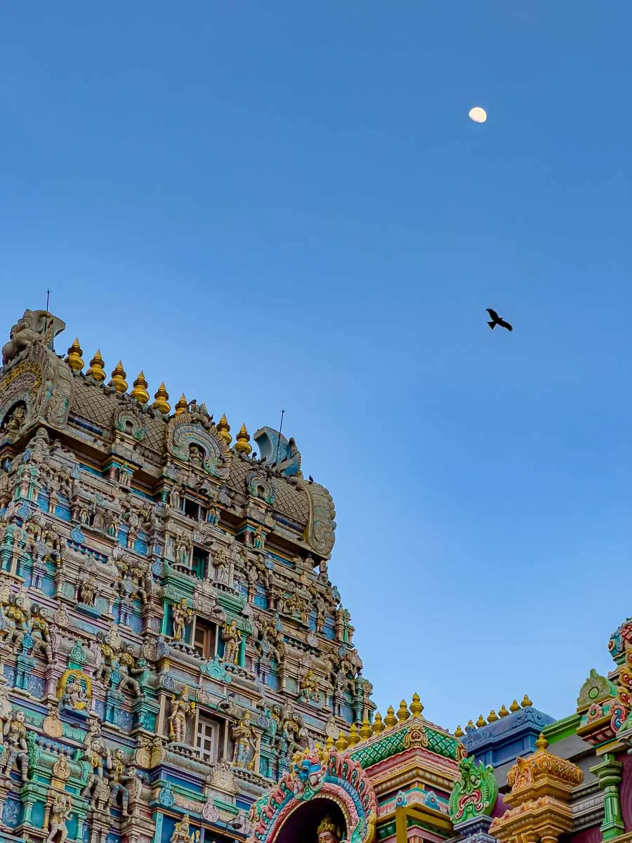 A photo of a temple in South India with the moon in the sky as a bird flies by.